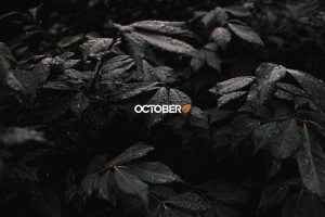 Étude de cas : le parcours de Publipresse avec October CMS