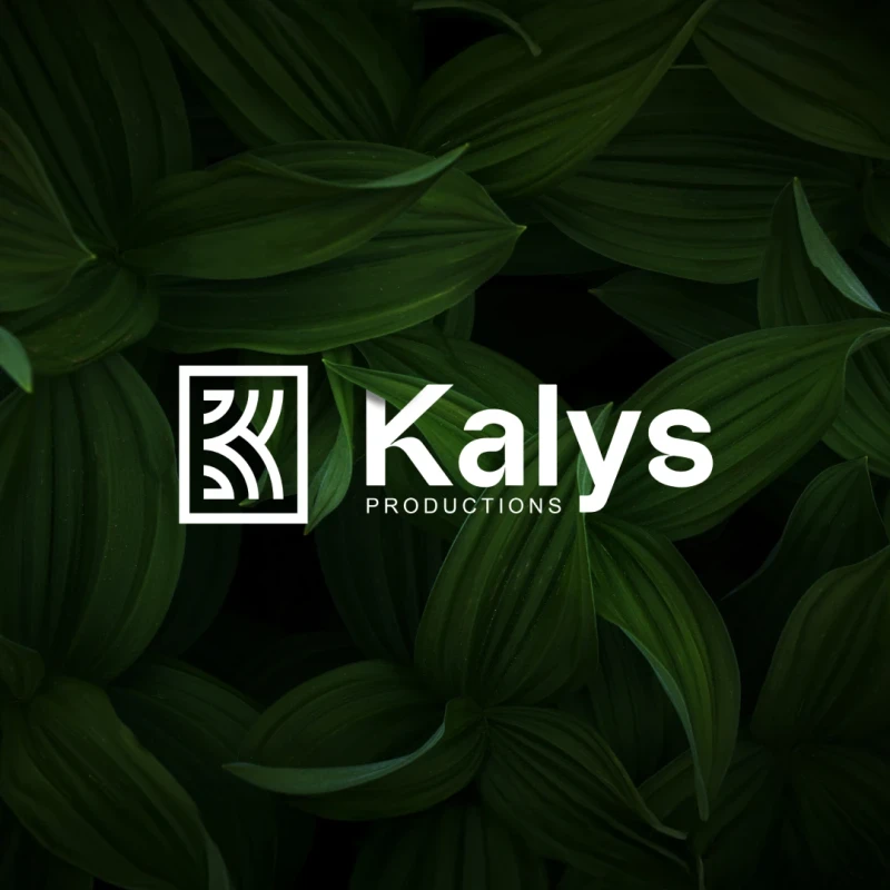 Kalys - Identité visuelle