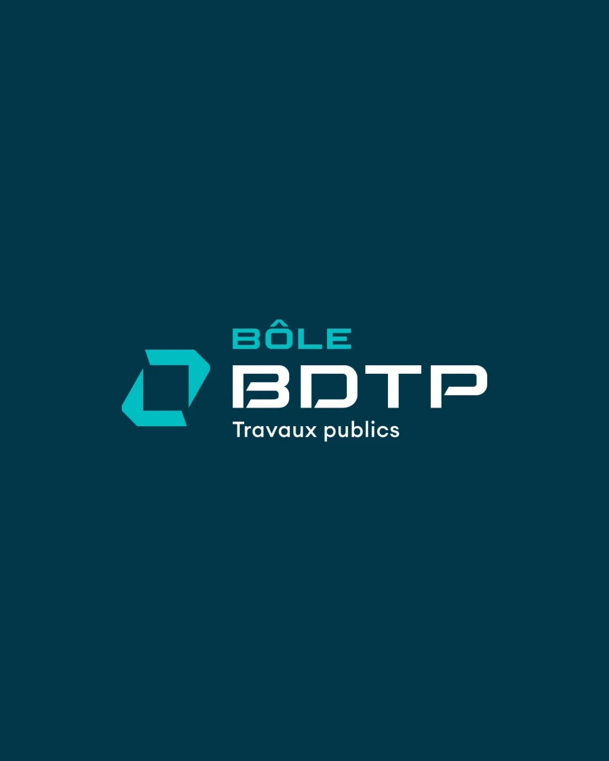 Identité visuelle : BDTP, Expert en travaux publics