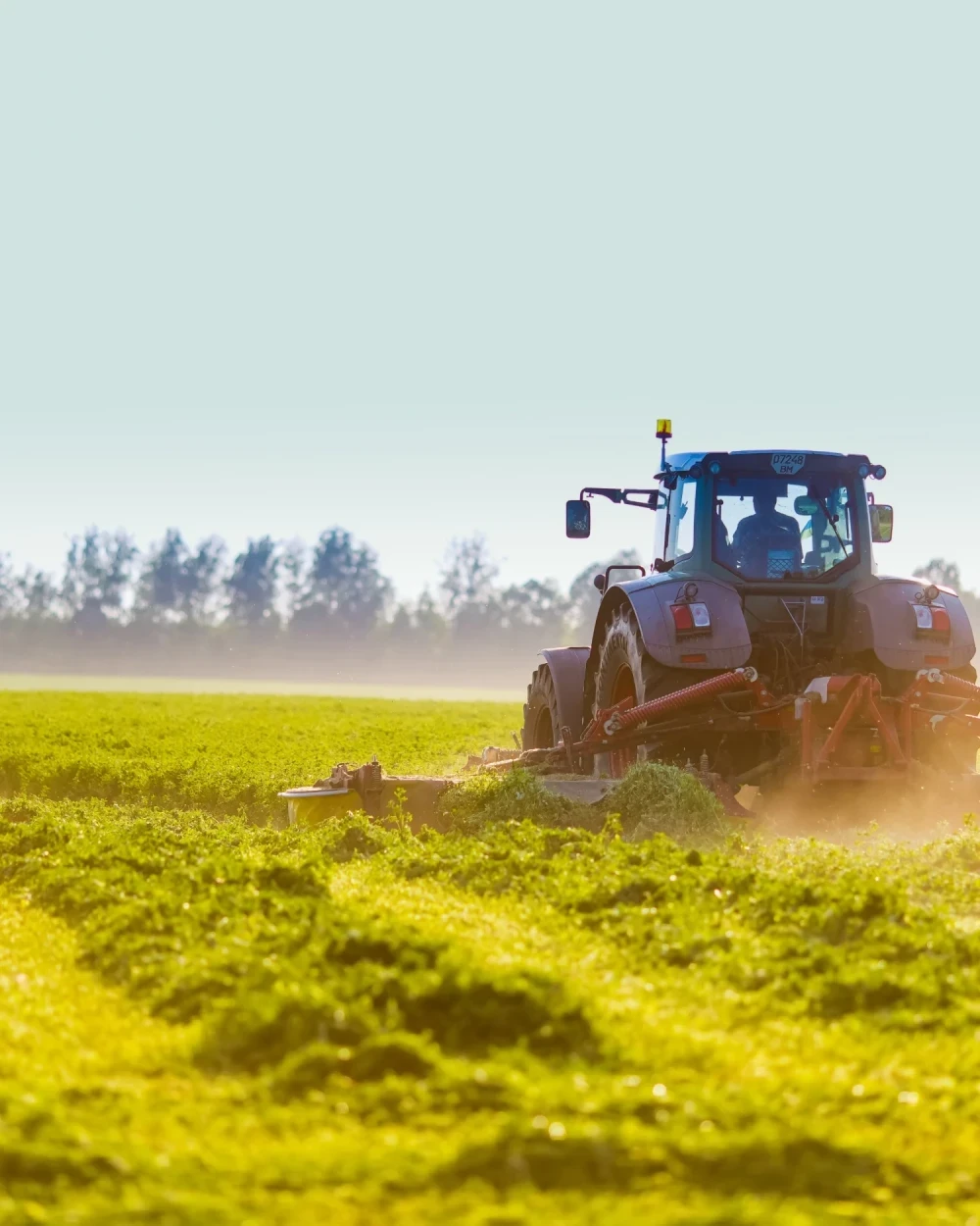 Site web : Terre Comtoise, Coopérative agricole