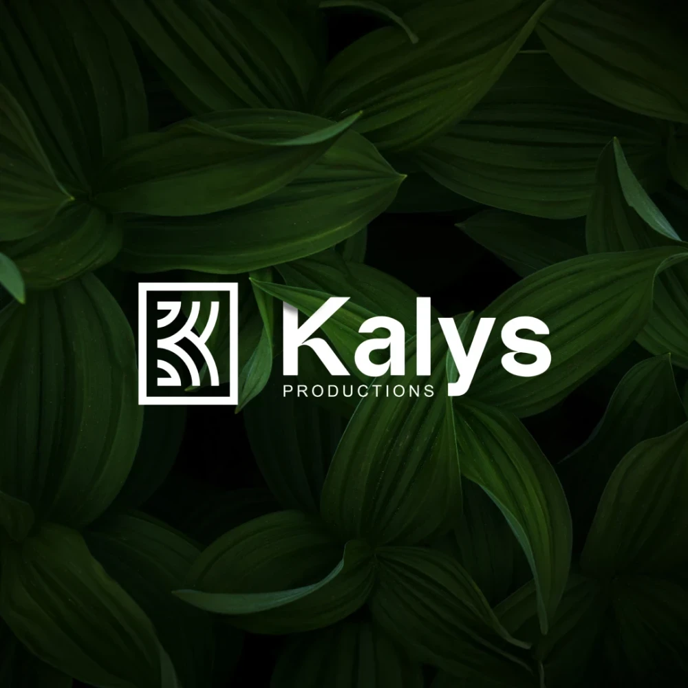 Identité visuelle : Kalys, Farines de konjac
