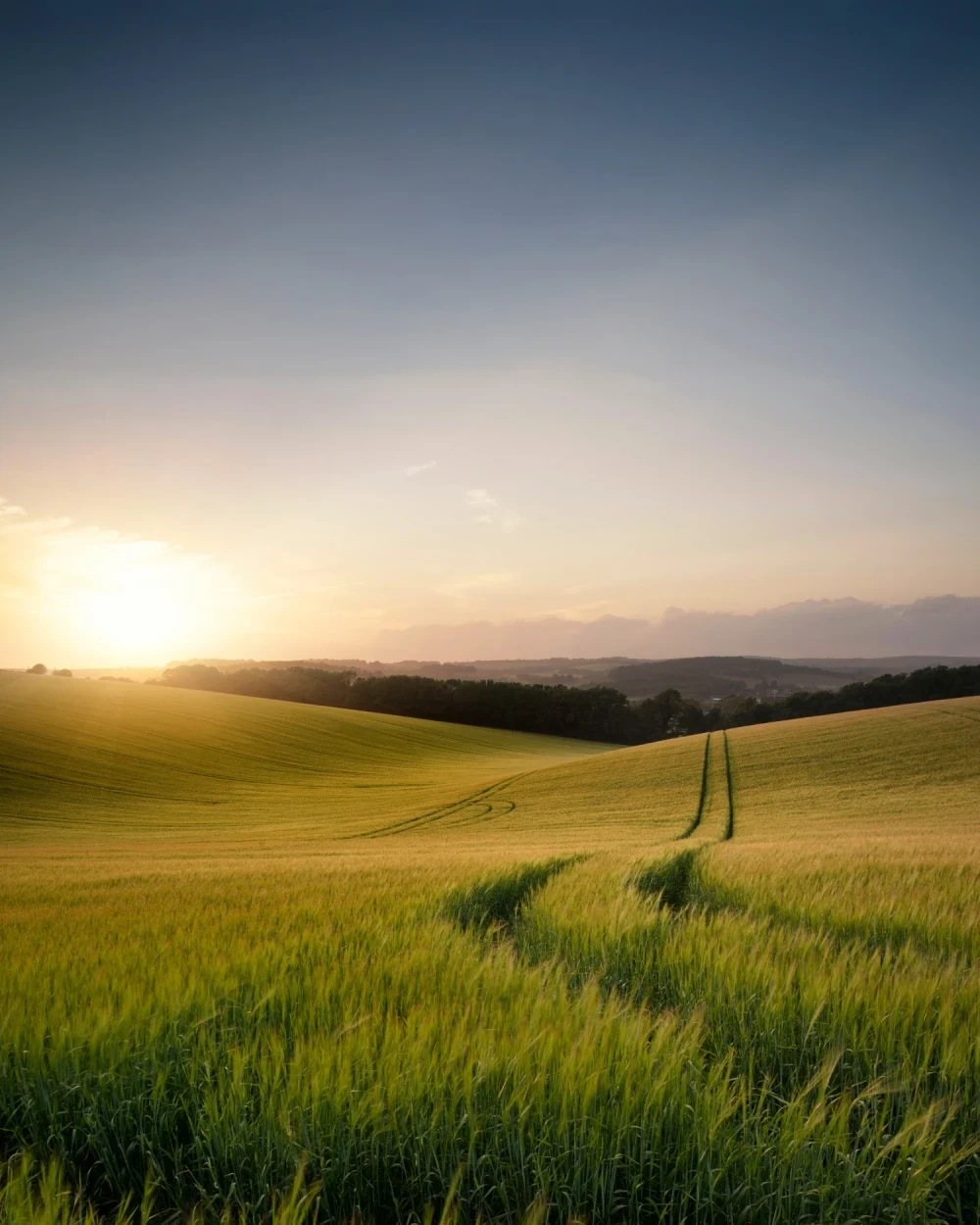 Site web : Déméterre, Machinisme agricole