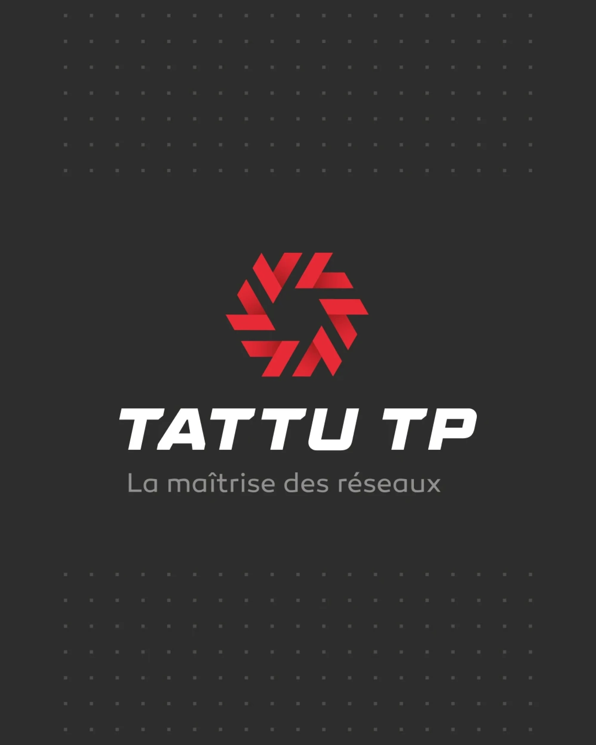 Identité visuelle : Tattu TP, La maîtrise des réseaux