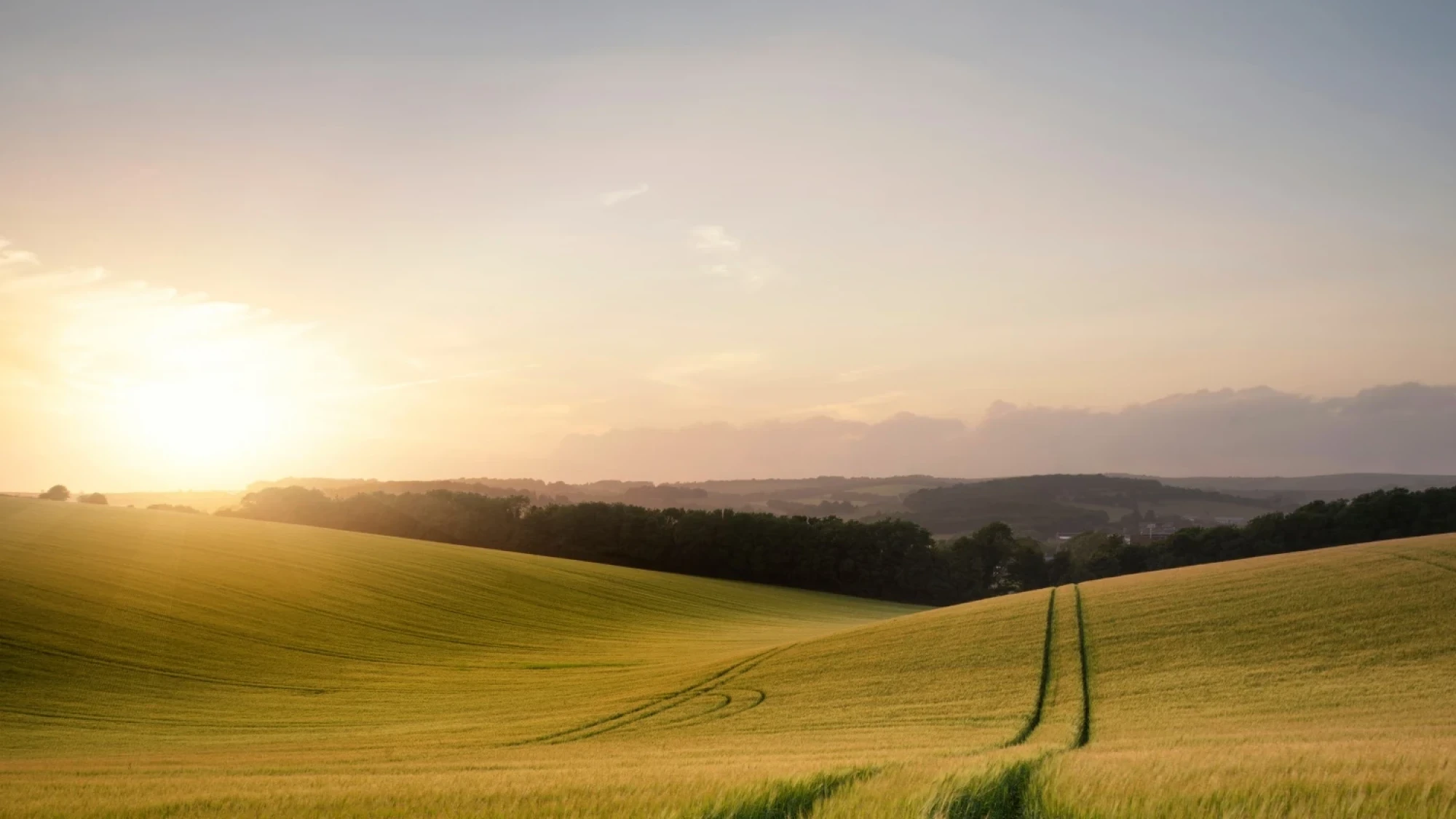 Site web : Déméterre, Machinisme agricole