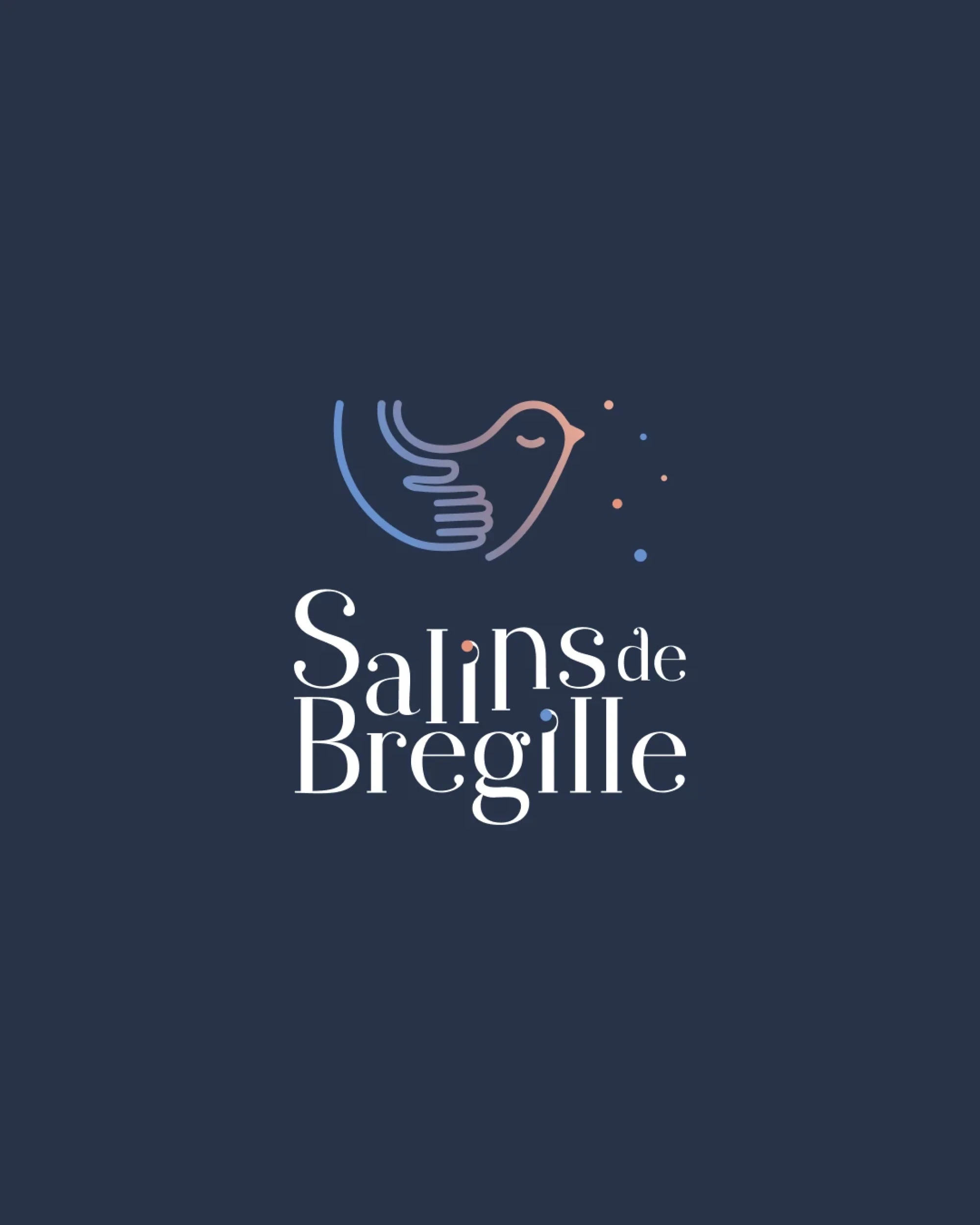 Identité visuelle : Salins de Bregille, Médico-social et plan sanitaire