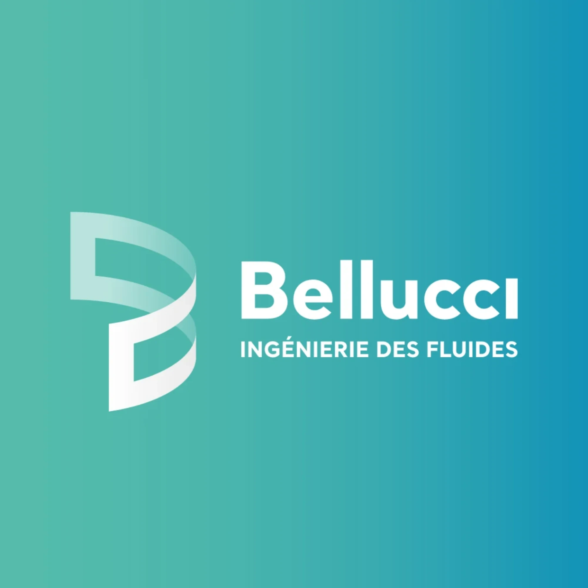 Identité visuelle : Bellucci, Ingénierie des fluides