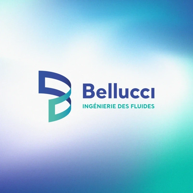 Identité visuelle : Bellucci, Ingénierie des fluides