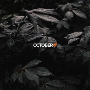 Ãtude de cas : le parcours de Publipresse avec October CMS