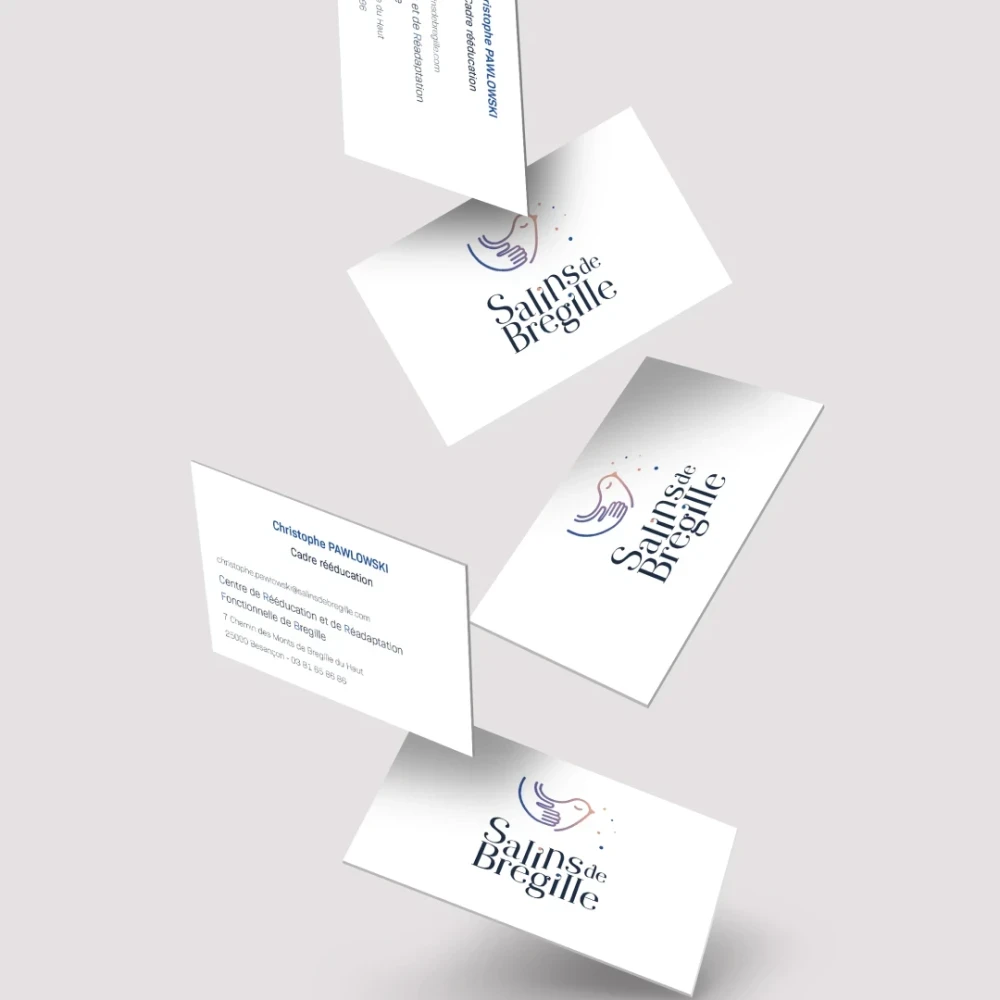 Identité visuelle : Salins de Bregille, Médico-social et plan sanitaire