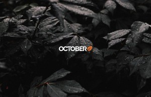 Étude de cas : le parcours de Publipresse avec October CMS