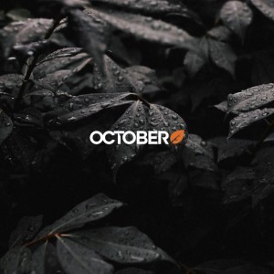 Étude de cas : le parcours de Publipresse avec October CMS