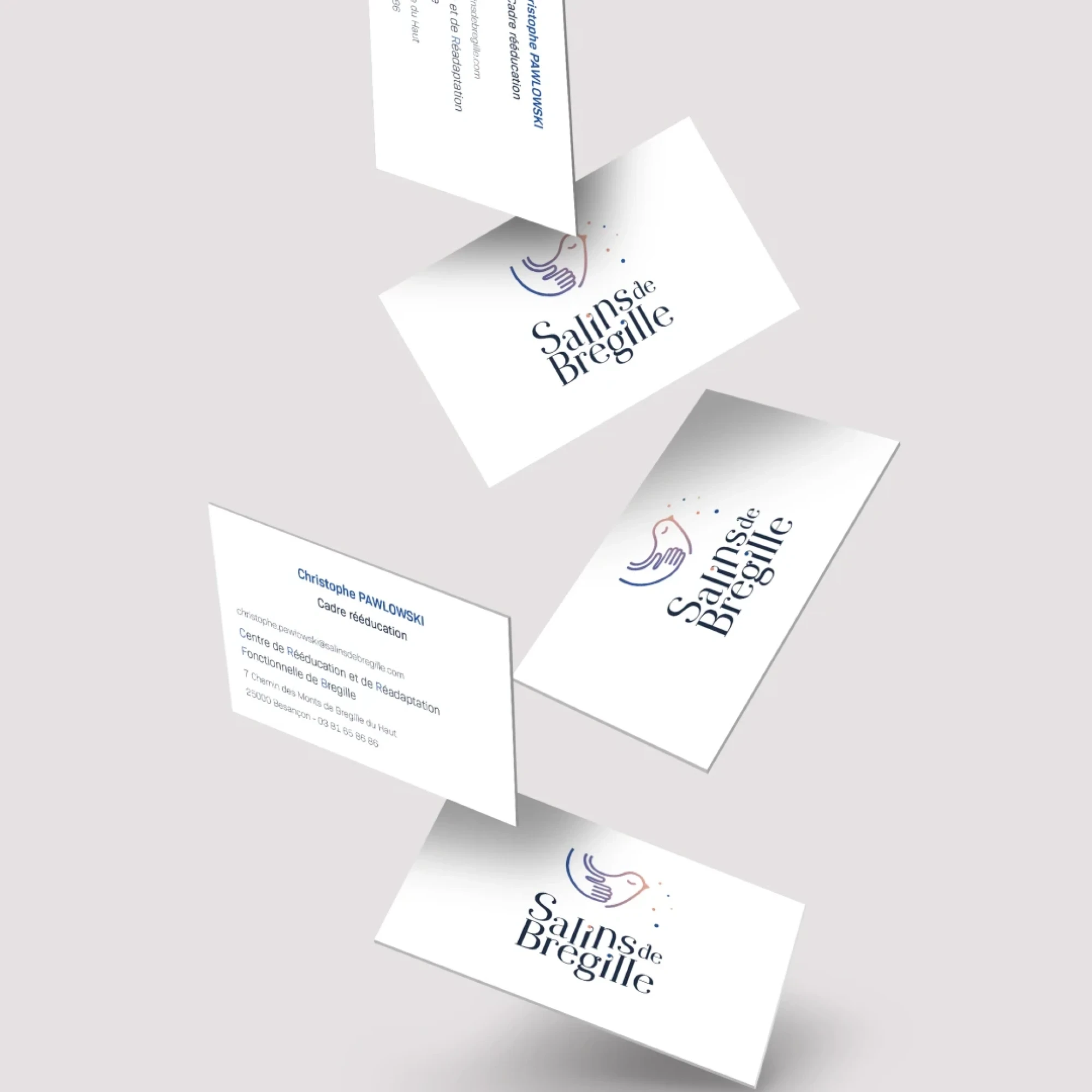 Identité visuelle : Salins de Bregille, Médico-social et plan sanitaire