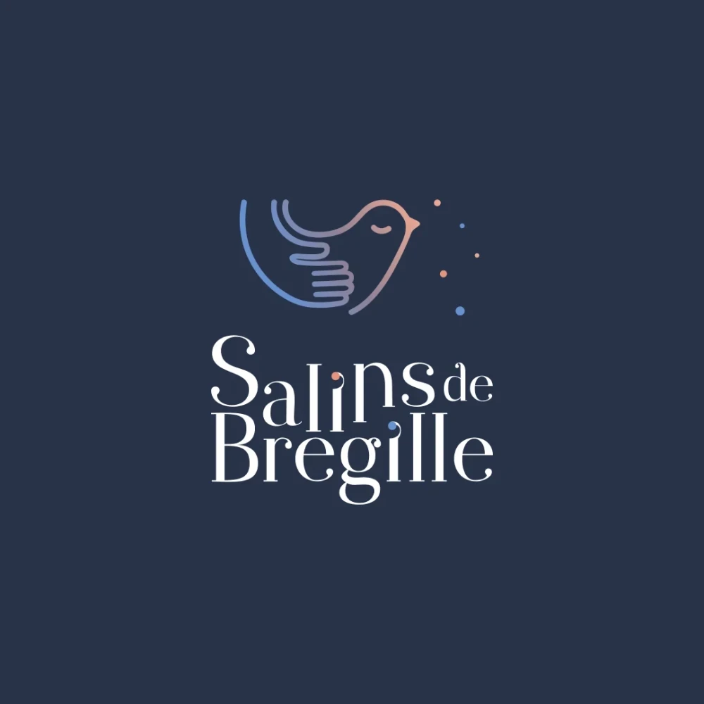 Identité visuelle : Salins de Bregille, Médico-social et plan sanitaire