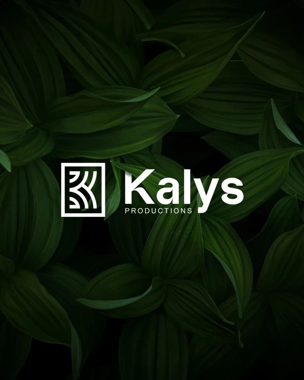 Identité visuelle : Kalys, Farines de konjac