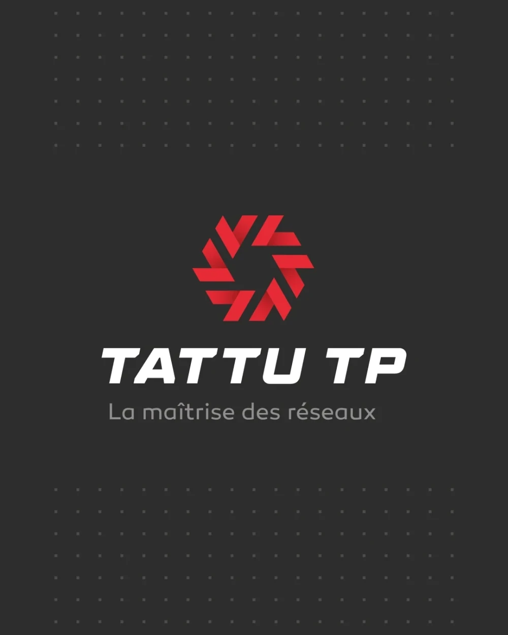 Identité visuelle : Tattu TP, La maîtrise des réseaux