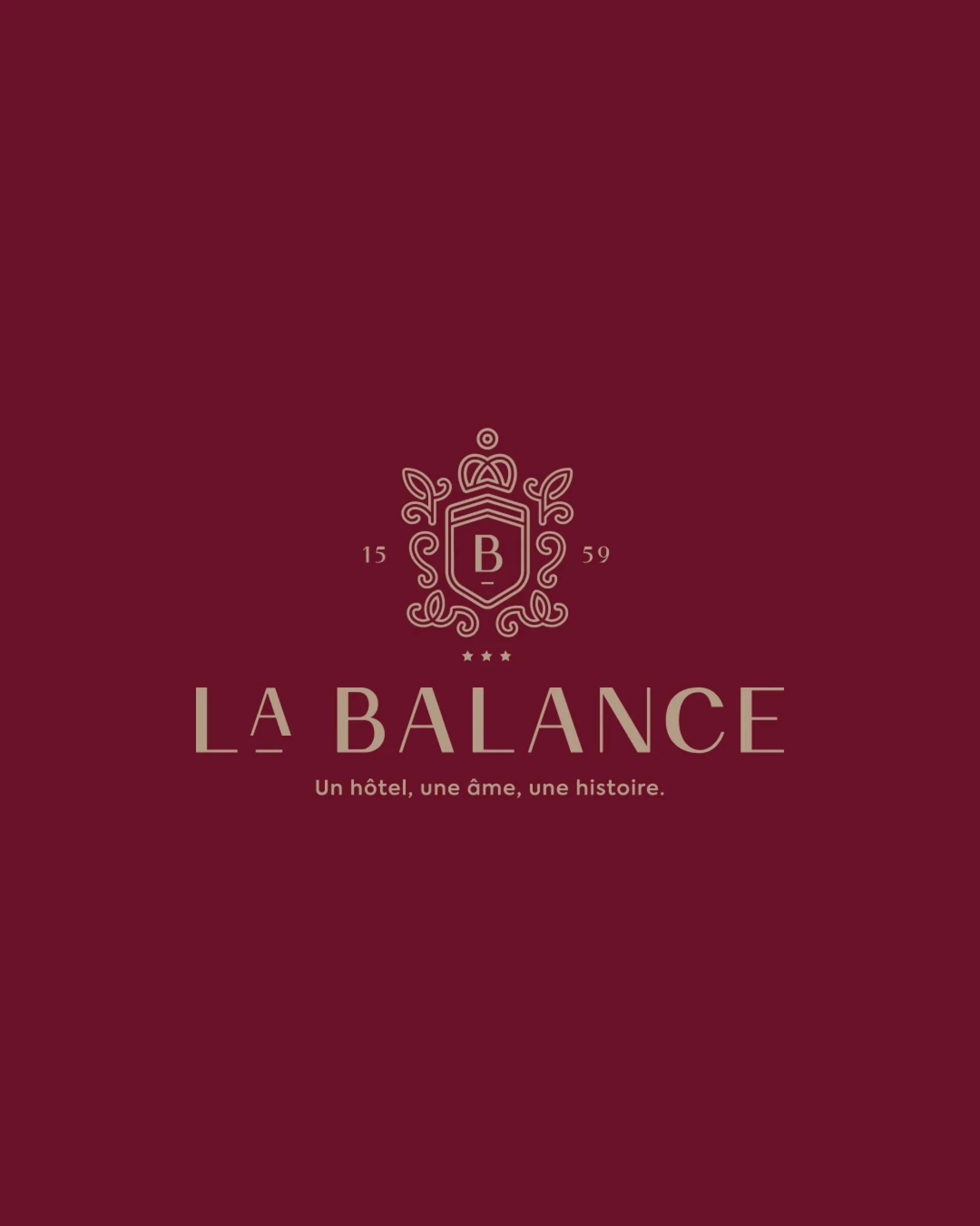 Identité visuelle : Hôtel la Balance, Hôtel au passé princier