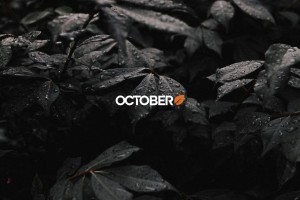 Étude de cas : le parcours de Publipresse avec October CMS
