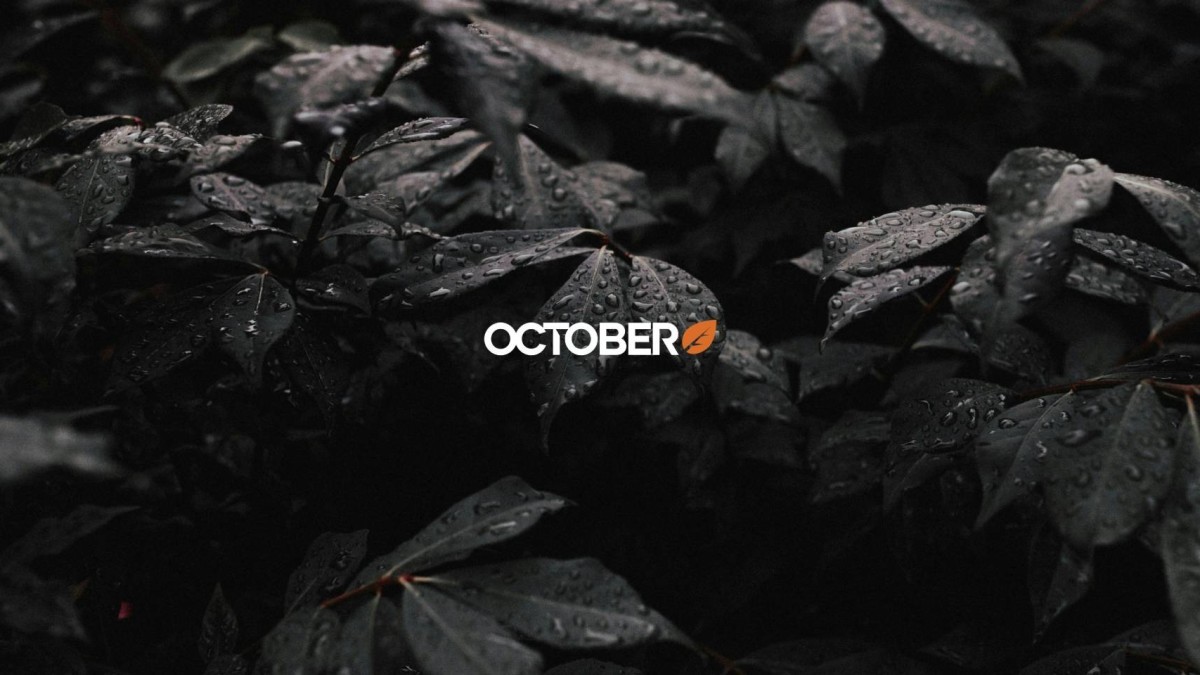 Étude de cas : le parcours de Publipresse avec October CMS