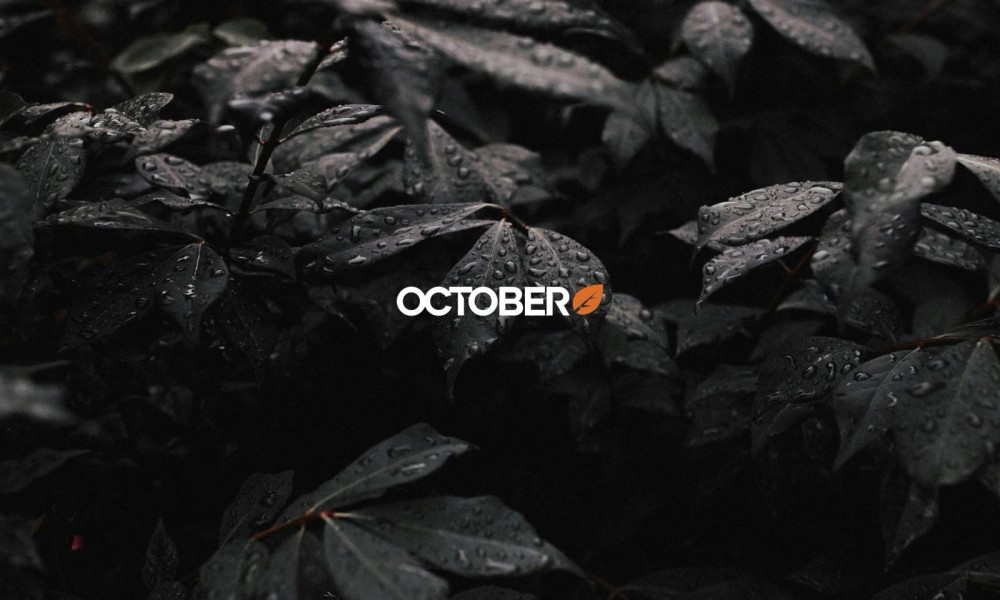 Étude de cas : le parcours de Publipresse avec October CMS