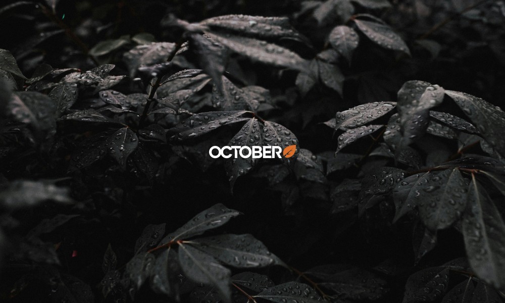 Ãtude de cas : le parcours de Publipresse avec October CMS