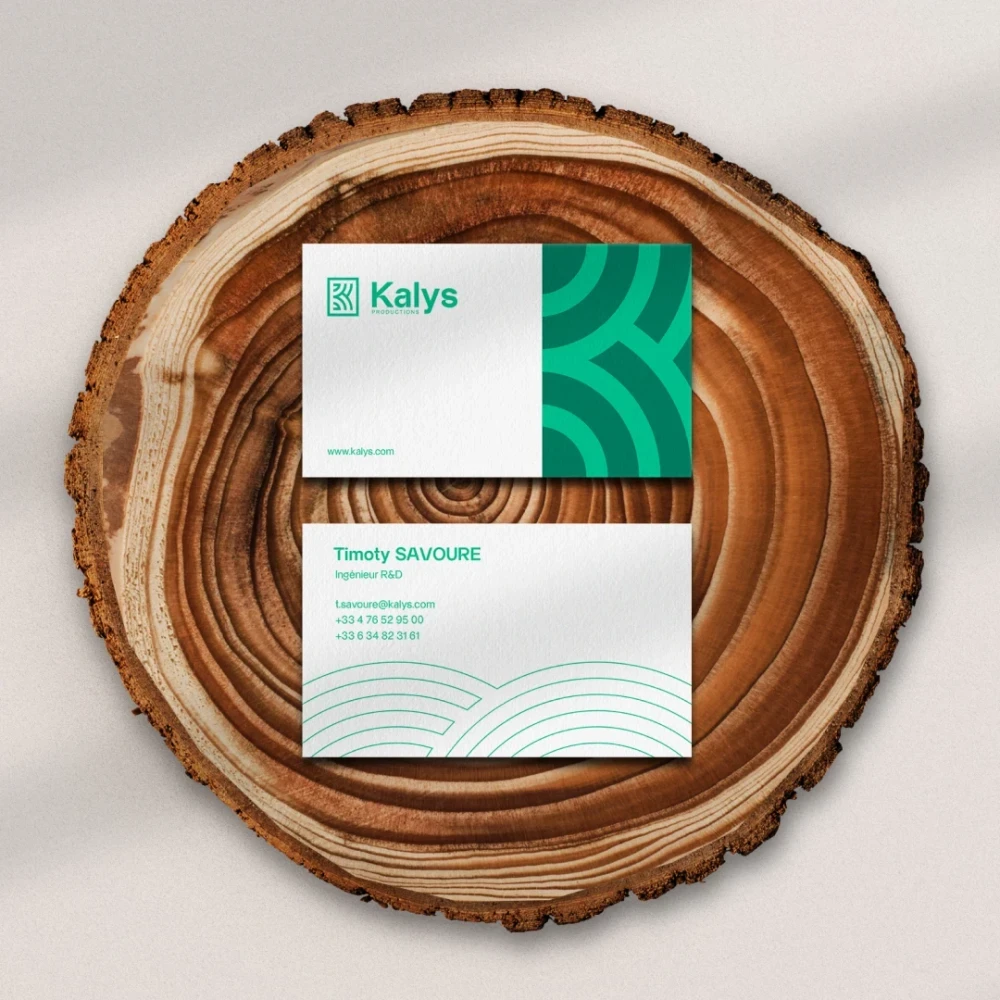 Identité visuelle : Kalys, Farines de konjac