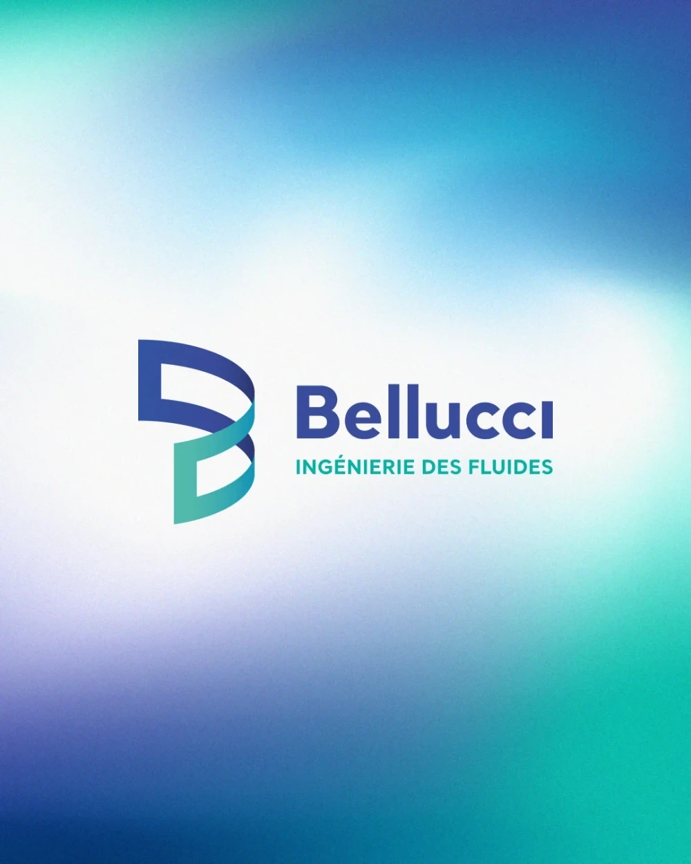 Identité visuelle : Bellucci, Ingénierie des fluides