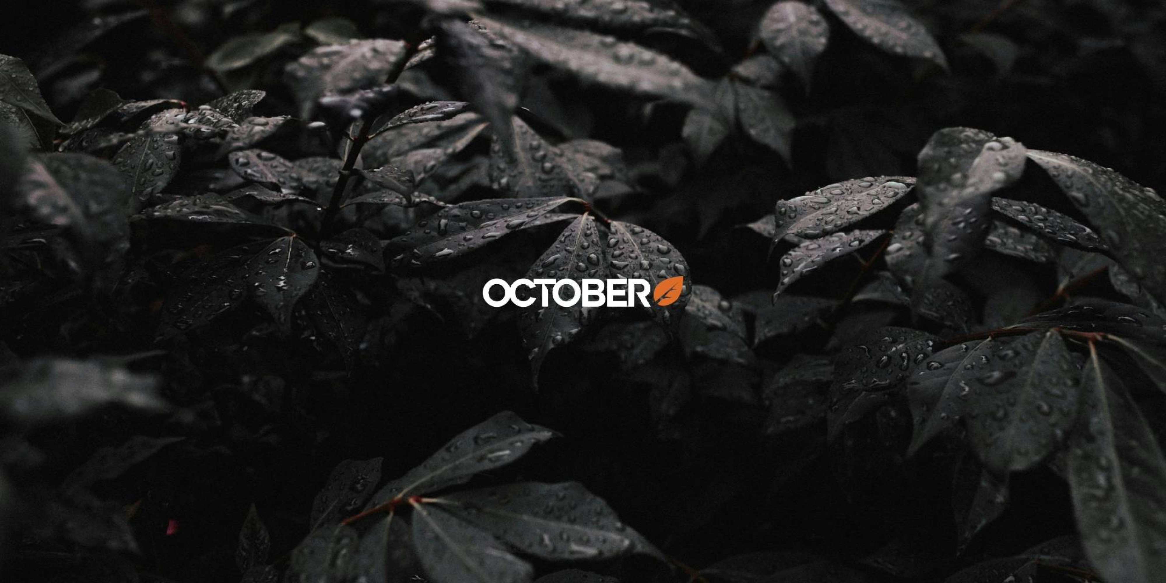 Étude de cas : le parcours de Publipresse avec October CMS